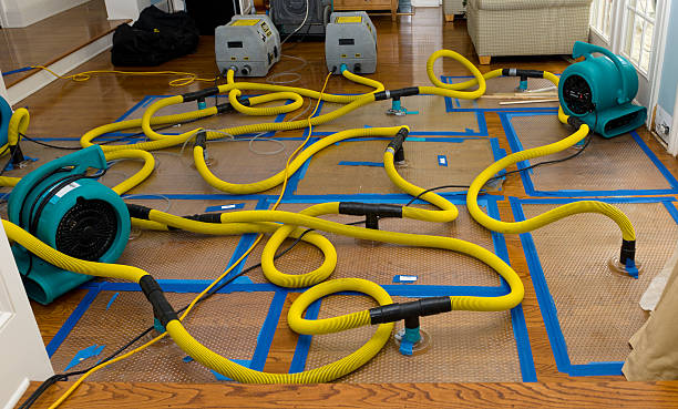Professional Basement Flood Cleanup technician working in Lake Hughes, CA